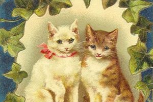 Charming Vintage Postcard Cats: A Collector's Guide | Old Stamp Collecting Guide: Discover, Value & Preserve Vintage Stamps