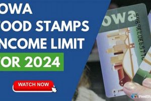Iowa Food Stamp Guidelines for 2024 | Old Stamp Collecting Guide: Discover, Value & Preserve Vintage Stamps