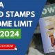 Iowa Food Stamp Guidelines for 2024 | Old Stamp Collecting Guide: Discover, Value & Preserve Vintage Stamps