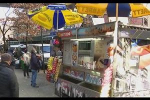 Find SNAP Benefits Near Schermerhorn St, Brooklyn Old Stamp Collecting Guide: Discover, Value & Preserve Vintage Stamps Find SNAP Benefits Near Schermerhorn St, Brooklyn | Old Stamp Collecting Guide: Discover, Value & Preserve Vintage Stamps