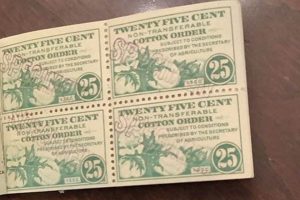 Vintage Food Stamp Books: A Collector's Guide | Old Stamp Collecting Guide: Discover, Value & Preserve Vintage Stamps