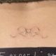 Cute Bow Tramp Stamp Tattoo Ideas & Designs | Old Stamp Collecting Guide: Discover, Value & Preserve Vintage Stamps