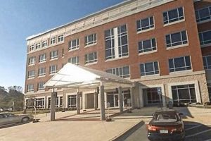 Find Brandon Food Stamp Office Locations & Info | Old Stamp Collecting Guide: Discover, Value & Preserve Vintage Stamps