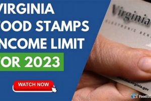 VA Food Stamp Program Guide &amp; Eligibility | Old Stamp Collecting Guide: Discover, Value & Preserve Vintage Stamps
