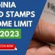 VA Food Stamp Program Guide &amp; Eligibility | Old Stamp Collecting Guide: Discover, Value & Preserve Vintage Stamps