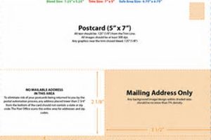 Premium 5x7 Postcard Printing & Design | Old Stamp Collecting Guide: Discover, Value & Preserve Vintage Stamps