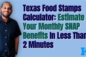 Texas Food Stamp Calculator: Check Eligibility & Benefits | Old Stamp Collecting Guide: Discover, Value & Preserve Vintage Stamps