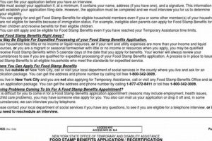 Download NYC Food Stamp Application PDF Now | Old Stamp Collecting Guide: Discover, Value & Preserve Vintage Stamps
