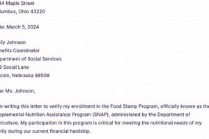 Food Stamp Approval Letter | Old Stamp Collecting Guide: Discover, Value & Preserve Vintage Stamps