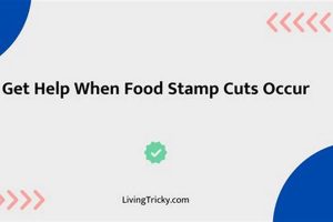 Impact of Food Stamp Cuts on Families | Old Stamp Collecting Guide: Discover, Value & Preserve Vintage Stamps