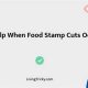 Impact of Food Stamp Cuts on Families | Old Stamp Collecting Guide: Discover, Value & Preserve Vintage Stamps