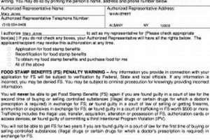 Food Stamp Representative | Old Stamp Collecting Guide: Discover, Value & Preserve Vintage Stamps