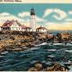 Maine Postcard | Old Stamp Collecting Guide: Discover, Value & Preserve Vintage Stamps