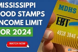 Mississippi Food Stamp Income Limits | Old Stamp Collecting Guide: Discover, Value & Preserve Vintage Stamps