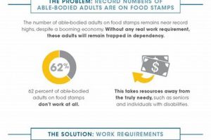 Understanding Food Stamp Work Requirements &amp; Exemptions | Old Stamp Collecting Guide: Discover, Value & Preserve Vintage Stamps