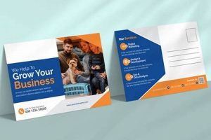 Design Custom Photo Postcard Cards Online | Old Stamp Collecting Guide: Discover, Value & Preserve Vintage Stamps