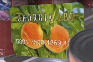 Get Your Replacement Food Stamp Card in Georgia Now | Old Stamp Collecting Guide: Discover, Value & Preserve Vintage Stamps