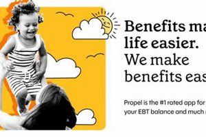 Indiana Food Stamp Rules: A 2024 Guide | Old Stamp Collecting Guide: Discover, Value & Preserve Vintage Stamps