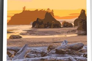 Vintage Olympic National Park Postcards: Collectibles | Old Stamp Collecting Guide: Discover, Value & Preserve Vintage Stamps