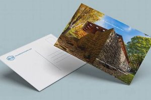 Fast & Affordable Local Postcard Printing Services | Old Stamp Collecting Guide: Discover, Value & Preserve Vintage Stamps