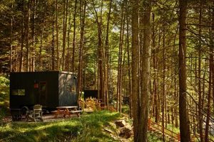 Postcard Cabins Piney Woods | Old Stamp Collecting Guide: Discover, Value & Preserve Vintage Stamps