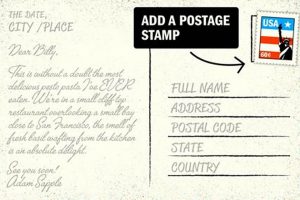 Proper Postcard Stamp Placement Guide | Old Stamp Collecting Guide: Discover, Value & Preserve Vintage Stamps