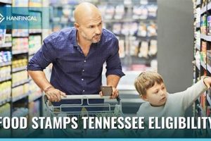 Find Food Stamp Office in Maryville TN | Old Stamp Collecting Guide: Discover, Value & Preserve Vintage Stamps