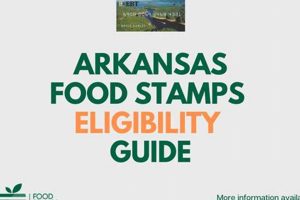 Arkansas Food Stamp Eligibility | Old Stamp Collecting Guide: Discover, Value & Preserve Vintage Stamps