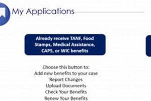 What Does Registration Complete Mean On Food Stamp Application | Old Stamp Collecting Guide: Discover, Value & Preserve Vintage Stamps