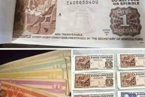 Managing Your Food Stamp Benefits | Old Stamp Collecting Guide: Discover, Value & Preserve Vintage Stamps