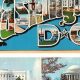 Get Your Washington DC Postcard Permit Now | Old Stamp Collecting Guide: Discover, Value & Preserve Vintage Stamps