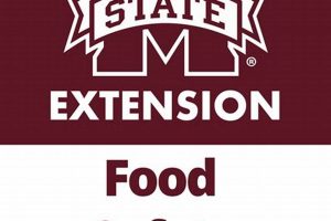 Lauderdale County Food Stamp Office: Meridian MS Location & Info Old Stamp Collecting Guide: Discover, Value & Preserve Vintage Stamps Lauderdale County Food Stamp Office: Meridian MS Location & Info | Old Stamp Collecting Guide: Discover, Value & Preserve Vintage Stamps