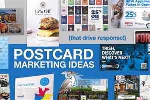 Effective Postcard Ad Design Tips & Tricks | Old Stamp Collecting Guide: Discover, Value & Preserve Vintage Stamps