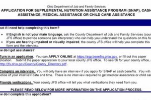 Apply for Ohio Food Stamp Benefits Online | Old Stamp Collecting Guide: Discover, Value & Preserve Vintage Stamps