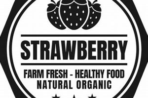 Modern Food Stamp Design: Best Practices & Innovations | Old Stamp Collecting Guide: Discover, Value & Preserve Vintage Stamps