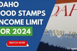 Idaho Food Stamp Limits & Income Guidelines 2024 | Old Stamp Collecting Guide: Discover, Value & Preserve Vintage Stamps