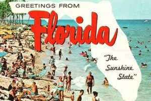 Vintage Florida Postcards: Sunshine State Memories | Old Stamp Collecting Guide: Discover, Value & Preserve Vintage Stamps