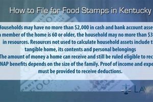 Campbellsville Food Stamp Office | Old Stamp Collecting Guide: Discover, Value & Preserve Vintage Stamps