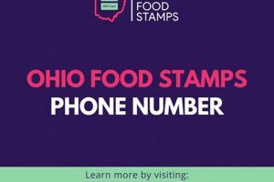 Manage Your Ohio Food Stamp Number & Benefits Old Stamp Collecting Guide: Discover, Value & Preserve Vintage Stamps Manage Your Ohio Food Stamp Number & Benefits | Old Stamp Collecting Guide: Discover, Value & Preserve Vintage Stamps