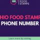 Manage Your Ohio Food Stamp Number & Benefits | Old Stamp Collecting Guide: Discover, Value & Preserve Vintage Stamps