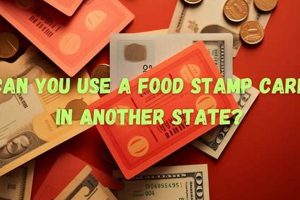Using Your Food Stamp Card: A Guide to Interstate Use | Old Stamp Collecting Guide: Discover, Value & Preserve Vintage Stamps