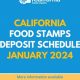 Indiana Food Stamp Schedule 2024: Get SNAP Benefits Dates | Old Stamp Collecting Guide: Discover, Value & Preserve Vintage Stamps