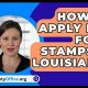 Access Louisiana Food Stamp Login Portal | Old Stamp Collecting Guide: Discover, Value & Preserve Vintage Stamps
