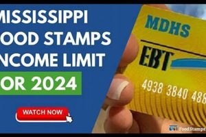 Starkville MS Food Stamp Office: Your Guide | Old Stamp Collecting Guide: Discover, Value & Preserve Vintage Stamps