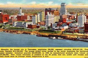 Vintage Memphis Postcards: A Collector's Guide Old Stamp Collecting Guide: Discover, Value & Preserve Vintage Stamps Vintage Memphis Postcards: A Collector's Guide | Old Stamp Collecting Guide: Discover, Value & Preserve Vintage Stamps