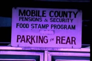 Changes To The Food Stamp Program | Old Stamp Collecting Guide: Discover, Value & Preserve Vintage Stamps