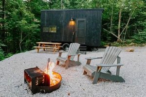 Dreamy Postcard Cabins: Perfect Getaways | Old Stamp Collecting Guide: Discover, Value & Preserve Vintage Stamps