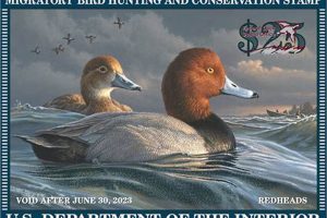 The Essential Guide to the Duck Stamp Act & Its Impact | Old Stamp Collecting Guide: Discover, Value & Preserve Vintage Stamps