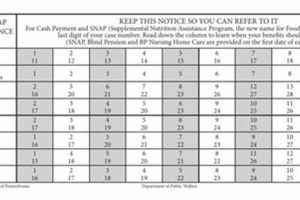 PA Food Stamp Payment Dates 2024: SNAP Schedule Old Stamp Collecting Guide: Discover, Value & Preserve Vintage Stamps PA Food Stamp Payment Dates 2024: SNAP Schedule | Old Stamp Collecting Guide: Discover, Value & Preserve Vintage Stamps