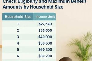 2024 Florida Food Stamp Guidelines & Eligibility Old Stamp Collecting Guide: Discover, Value & Preserve Vintage Stamps 2024 Florida Food Stamp Guidelines & Eligibility | Old Stamp Collecting Guide: Discover, Value & Preserve Vintage Stamps